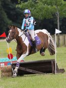 Image 43 in BECCLES AND BUNGAY RC. HUNTER TRIAL. 10 JULY 2016