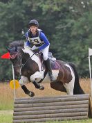 Image 46 in BECCLES AND BUNGAY RC. HUNTER TRIAL.  10 JULY 2016