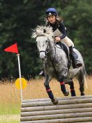 Image 51 in BECCLES AND BUNGAY RC. HUNTER TRIAL. 10 JULY 2016