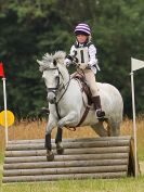 Image 54 in BECCLES AND BUNGAY RC. HUNTER TRIAL. 10 JULY 2016