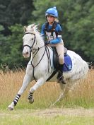Image 62 in BECCLES AND BUNGAY RC. HUNTER TRIAL. 10 JULY 2016