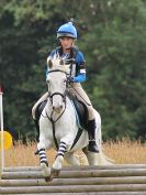 Image 64 in BECCLES AND BUNGAY RC. HUNTER TRIAL. 10 JULY 2016