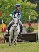 Image 67 in BECCLES AND BUNGAY RC. HUNTER TRIAL. 10 JULY 2016