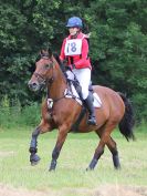 Image 78 in BECCLES AND BUNGAY RC. HUNTER TRIAL.  10 JULY 2016