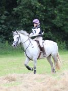 Image 83 in BECCLES AND BUNGAY RC. HUNTER TRIAL.  10 JULY 2016