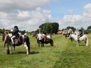 Image 128 in ADVENTURE RIDING CLUB. 17 JULY 2016