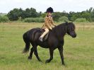 Image 141 in ADVENTURE RIDING CLUB. 17 JULY 2016