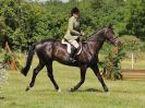 Image 166 in ADVENTURE RIDING CLUB. 17 JULY 2016