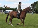 Image 175 in ADVENTURE RIDING CLUB. 17 JULY 2016