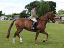 Image 176 in ADVENTURE RIDING CLUB. 17 JULY 2016
