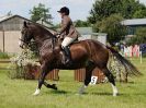 Image 197 in ADVENTURE RIDING CLUB. 17 JULY 2016