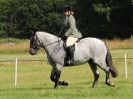 Image 2 in ADVENTURE RIDING CLUB. 17 JULY 2016