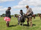 Image 223 in ADVENTURE RIDING CLUB. 17 JULY 2016