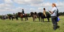 Image 228 in ADVENTURE RIDING CLUB. 17 JULY 2016
