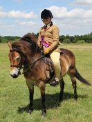 Image 238 in ADVENTURE RIDING CLUB. 17 JULY 2016