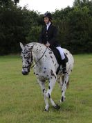 Image 24 in ADVENTURE RIDING CLUB. 17 JULY 2016