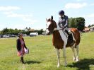 Image 290 in ADVENTURE RIDING CLUB. 17 JULY 2016