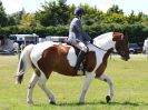 Image 292 in ADVENTURE RIDING CLUB. 17 JULY 2016