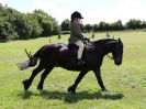 Image 293 in ADVENTURE RIDING CLUB. 17 JULY 2016