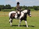 Image 295 in ADVENTURE RIDING CLUB. 17 JULY 2016