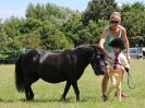 Image 304 in ADVENTURE RIDING CLUB. 17 JULY 2016