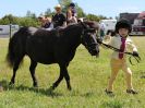 Image 306 in ADVENTURE RIDING CLUB. 17 JULY 2016
