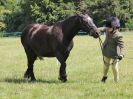 Image 313 in ADVENTURE RIDING CLUB. 17 JULY 2016