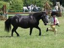 Image 316 in ADVENTURE RIDING CLUB. 17 JULY 2016