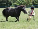 Image 317 in ADVENTURE RIDING CLUB. 17 JULY 2016