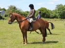Image 335 in ADVENTURE RIDING CLUB.  17 JULY 2016