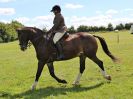 Image 346 in ADVENTURE RIDING CLUB. 17 JULY 2016