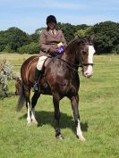 Image 355 in ADVENTURE RIDING CLUB. 17 JULY 2016