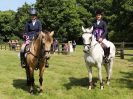 Image 14 in BECCLES AND BUNGAY RIDING CLUB. AREA 14 QUALIFIER. PRESENTATIONS