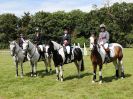Image 2 in BECCLES AND BUNGAY RIDING CLUB. AREA 14 QUALIFIER. PRESENTATIONS