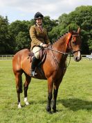 Image 24 in BECCLES AND BUNGAY RIDING CLUB. AREA 14 QUALIFIER. PRESENTATIONS