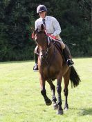 Image 32 in BECCLES AND BUNGAY RIDING CLUB. AREA 14 QUALIFIER. PRESENTATIONS