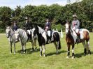 Image 5 in BECCLES AND BUNGAY RIDING CLUB. AREA 14 QUALIFIER. PRESENTATIONS
