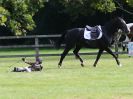 Image 10 in BECCLES AND BUNGAY RIDING CLUB SHOW JUMPING. AREA 14 QUALIFIER. 