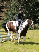 Image 104 in BECCLES AND BUNGAY RIDING CLUB SHOW JUMPING. AREA 14 QUALIFIER. 