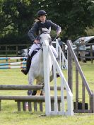 Image 11 in BECCLES AND BUNGAY RIDING CLUB SHOW JUMPING. AREA 14 QUALIFIER. 