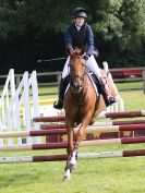 Image 15 in BECCLES AND BUNGAY RIDING CLUB SHOW JUMPING. AREA 14 QUALIFIER. 