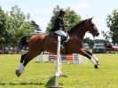 Image 186 in BECCLES AND BUNGAY RIDING CLUB SHOW JUMPING. AREA 14 QUALIFIER. 