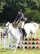 Image 19 in BECCLES AND BUNGAY RIDING CLUB SHOW JUMPING. AREA 14 QUALIFIER. 