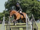 Image 195 in BECCLES AND BUNGAY RIDING CLUB SHOW JUMPING. AREA 14 QUALIFIER. 