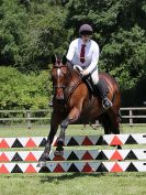 Image 198 in BECCLES AND BUNGAY RIDING CLUB SHOW JUMPING. AREA 14 QUALIFIER. 