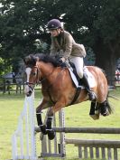 Image 2 in BECCLES AND BUNGAY RIDING CLUB SHOW JUMPING. AREA 14 QUALIFIER. 
