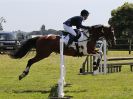 Image 204 in BECCLES AND BUNGAY RIDING CLUB SHOW JUMPING. AREA 14 QUALIFIER. 