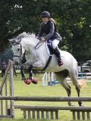 Image 25 in BECCLES AND BUNGAY RIDING CLUB SHOW JUMPING. AREA 14 QUALIFIER. 