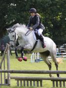 Image 25 in BECCLES AND BUNGAY RIDING CLUB SHOW JUMPING. AREA 14 QUALIFIER.