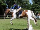 Image 255 in BECCLES AND BUNGAY RIDING CLUB SHOW JUMPING. AREA 14 QUALIFIER. 